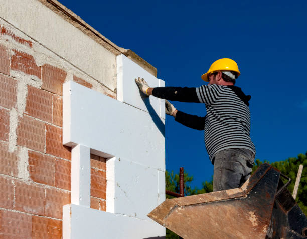 Best Fiberglass Insulation  in Woodall, OK